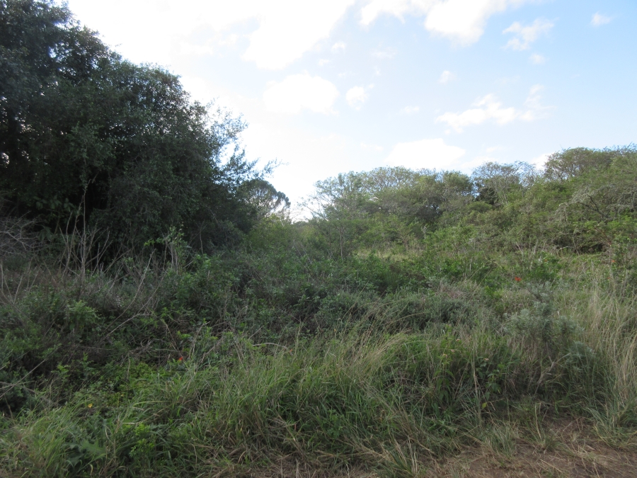 0 Bedroom Property for Sale in Bathurst Eastern Cape